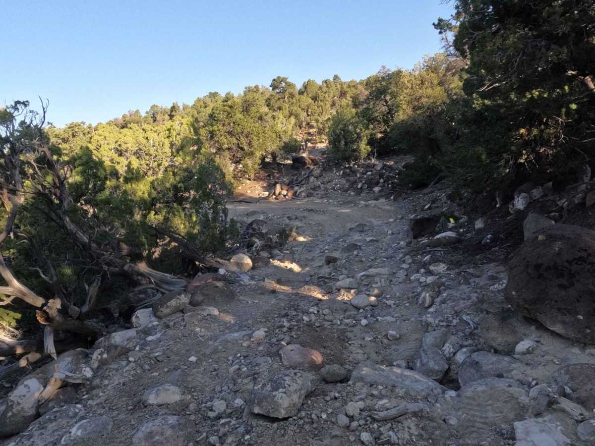 Waterline Connector - BLM10005 trail photo