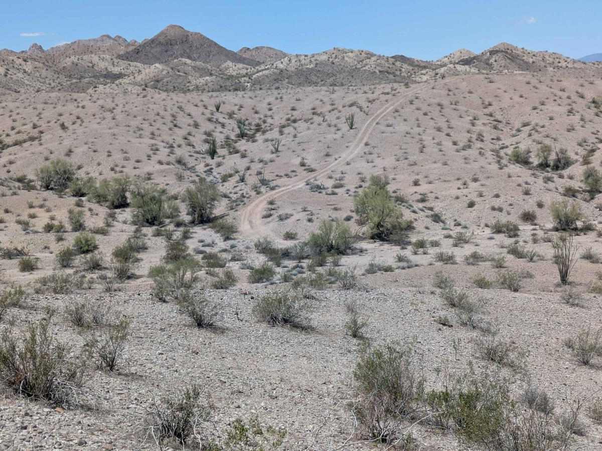Ridgeline Trail trail photo