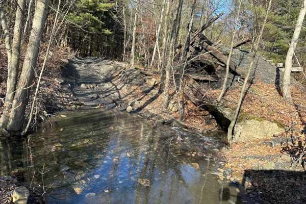Locust Gap 51