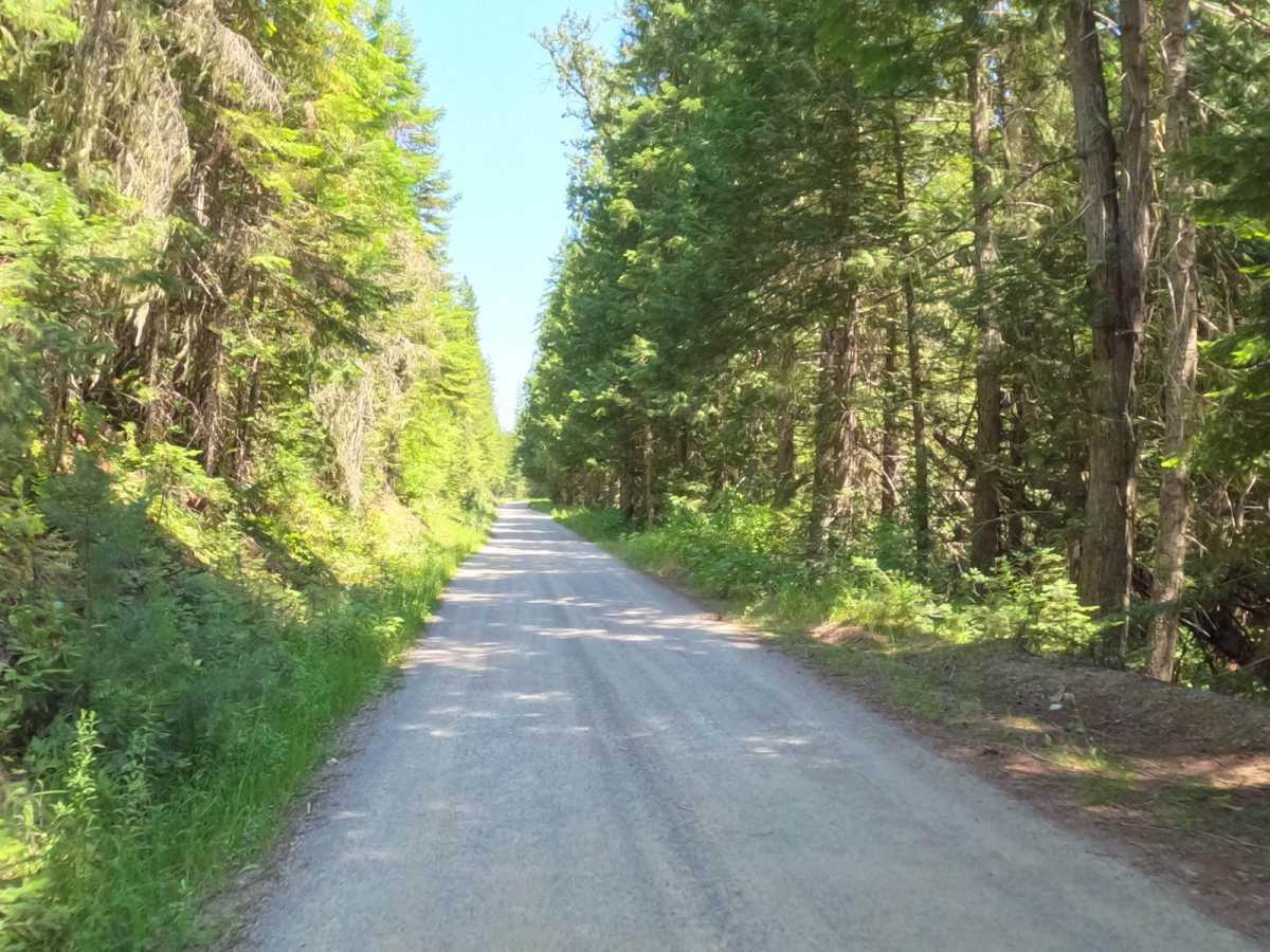 Moore Lake-St.Regis photo 2