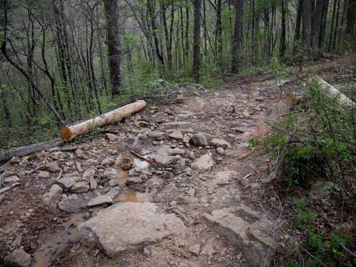 Gap Hollow Loop photo 4