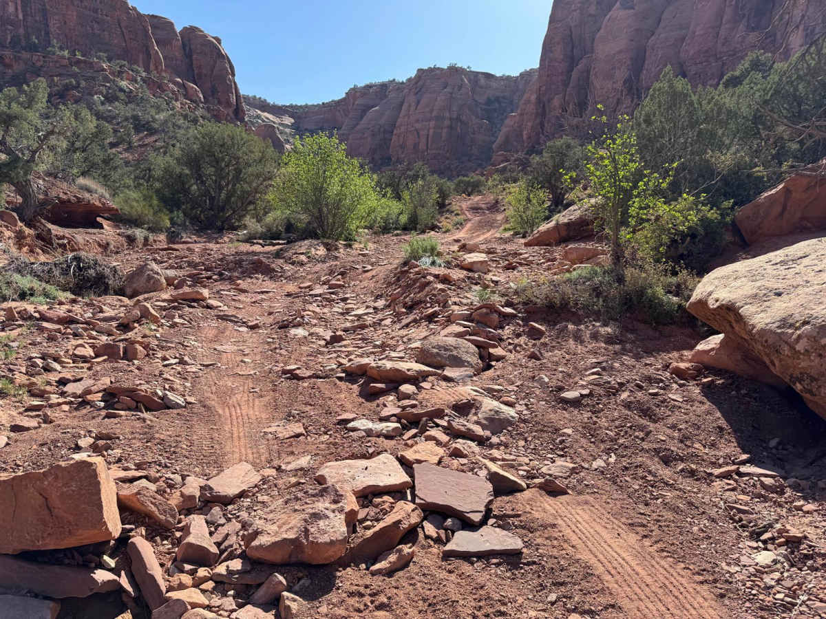 Saucer Canyon trail photo