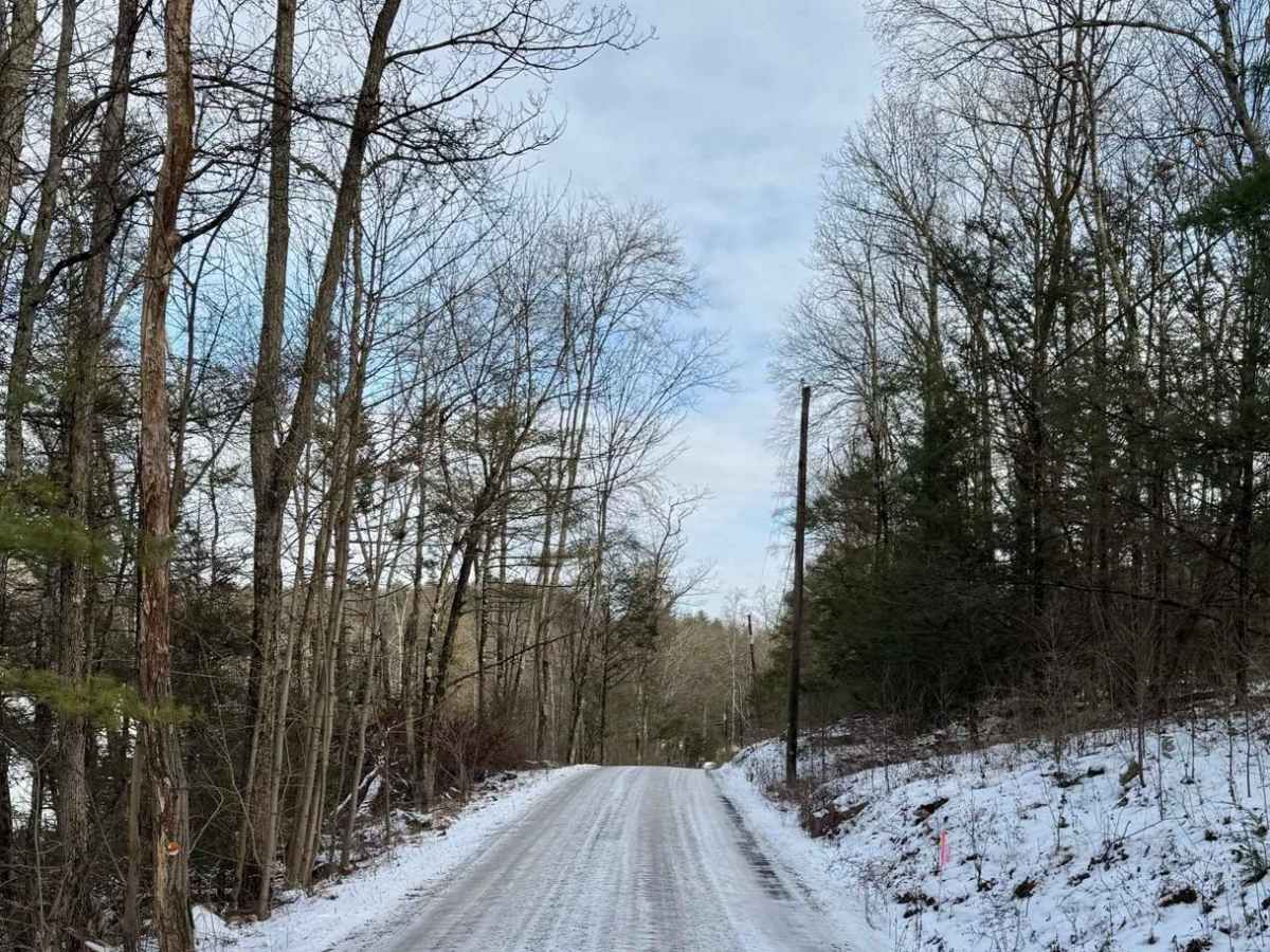 Jones Mountain Road photo 3