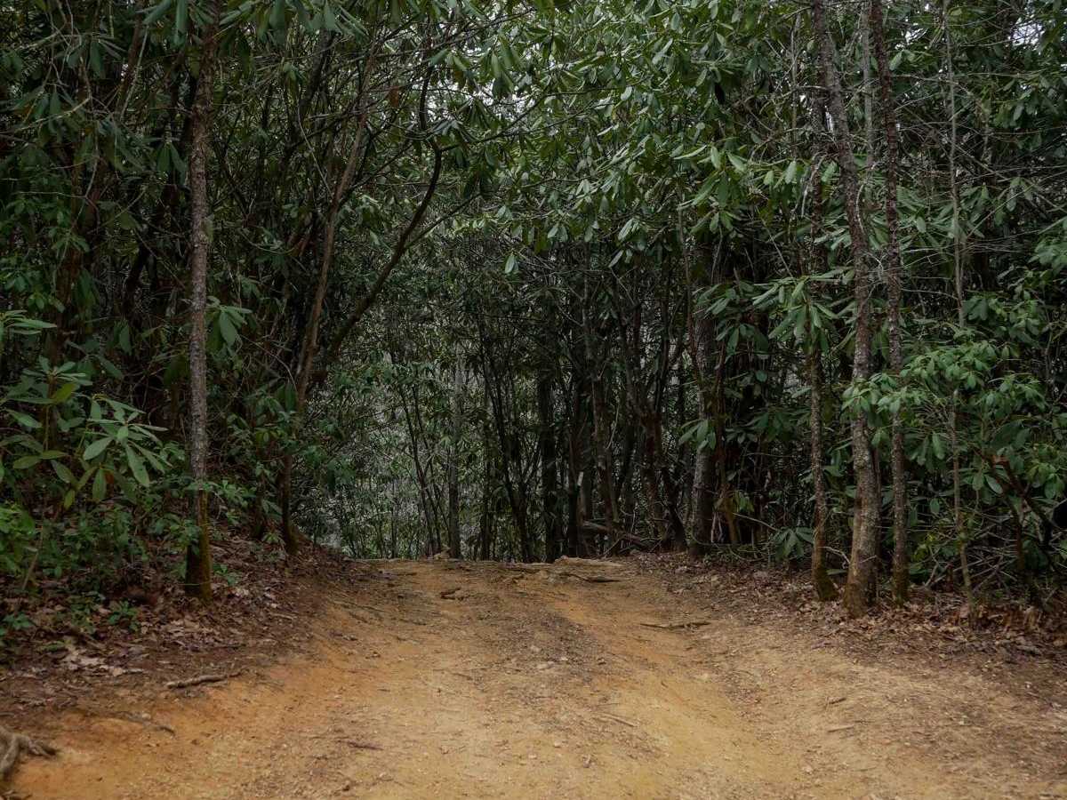 421 trail photo
