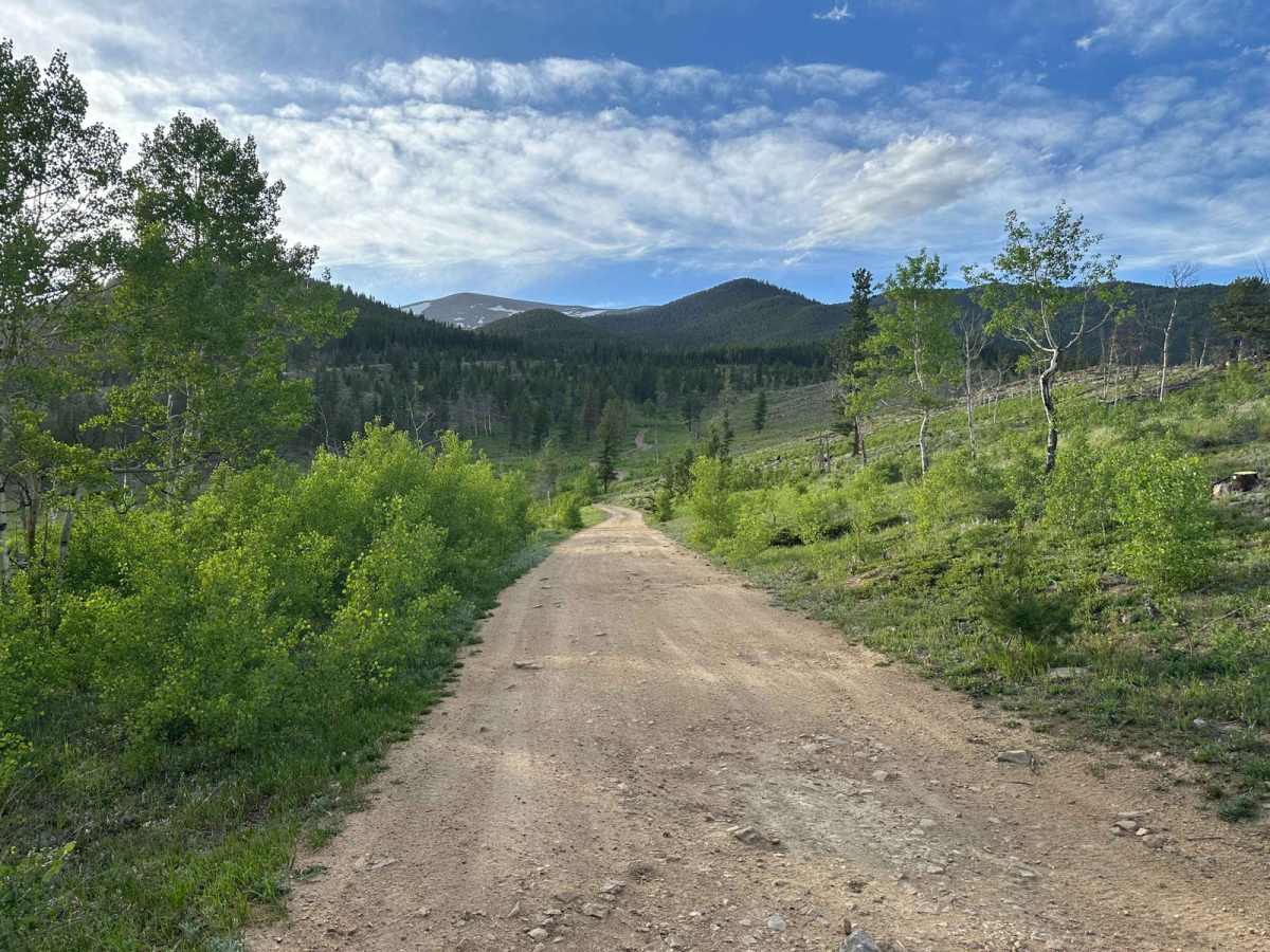 Mad Creek Road trail photo