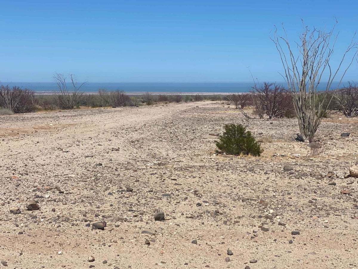 North of San Felipe photo 5