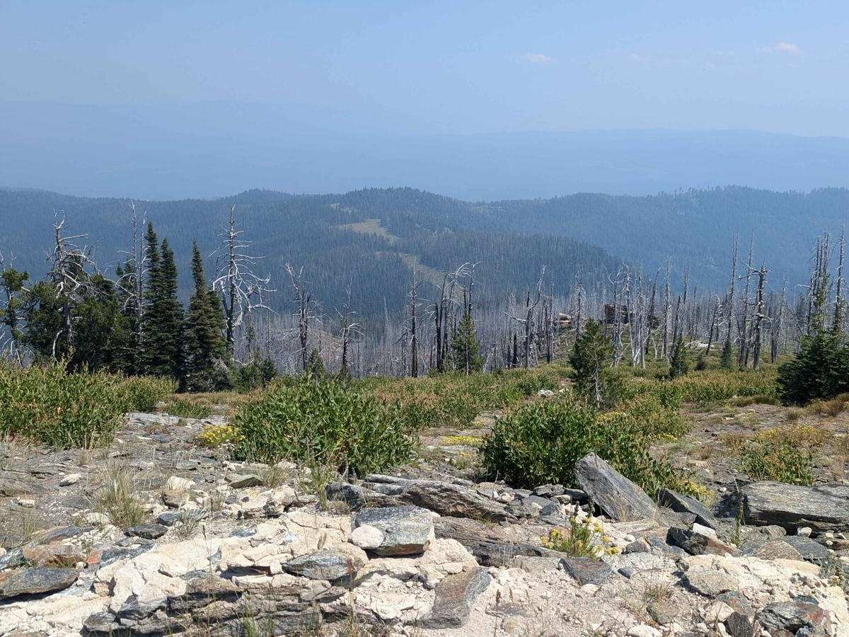 Nut Basin - FR 441 photo 3