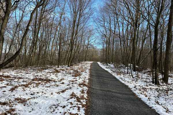 Locust Gap 33
