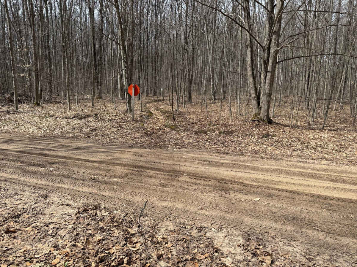 MCCCT - Caberfae Spur to West 38 photo 6
