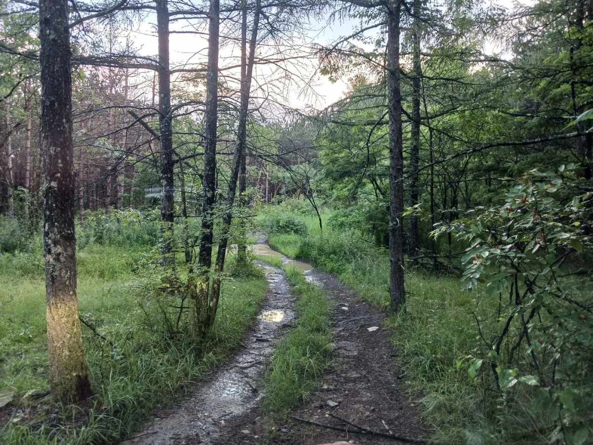 Trail 12M - Rock Run Recreation Area photo 3