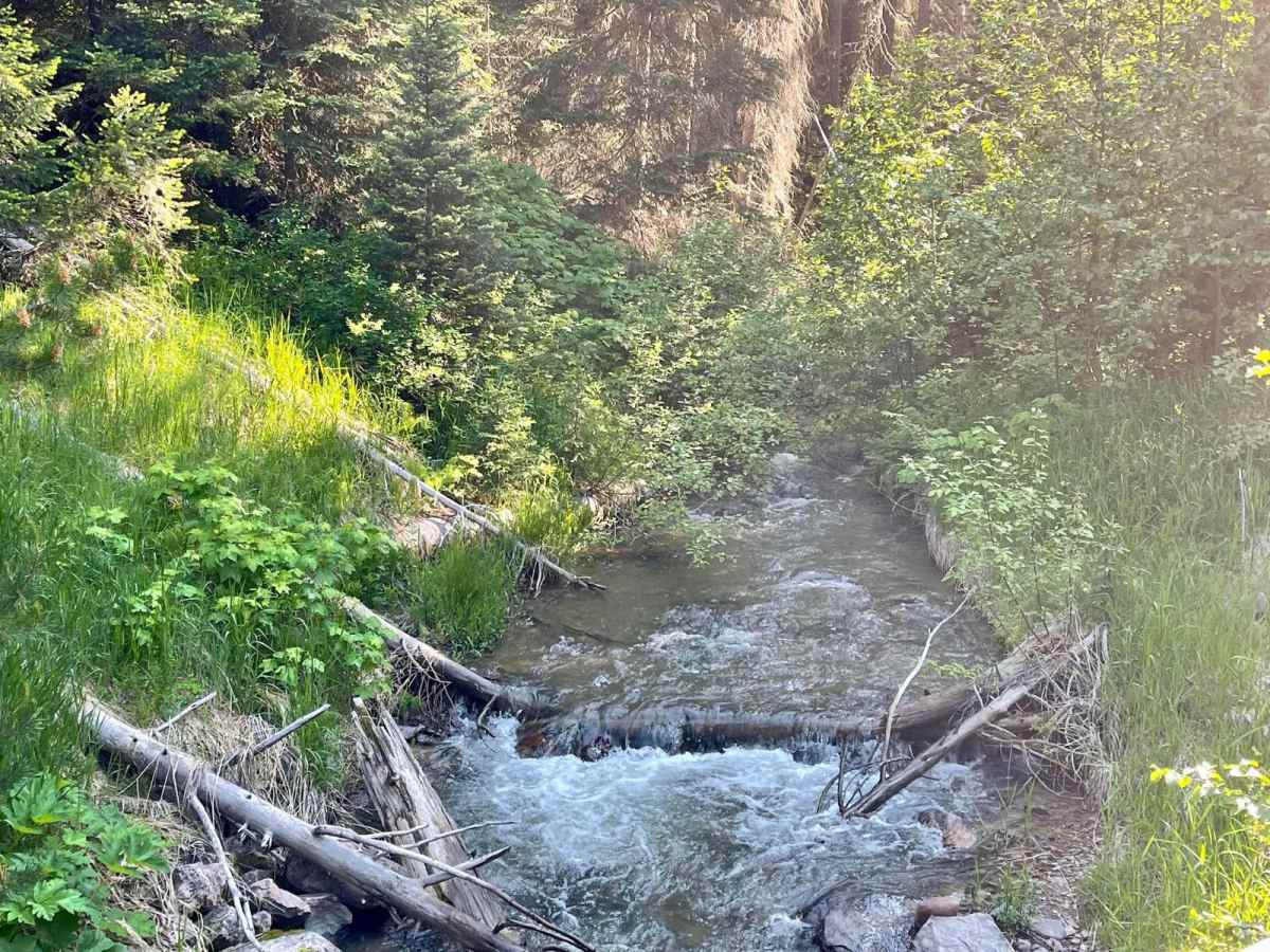 Morrell- Clearwater Lake photo 5
