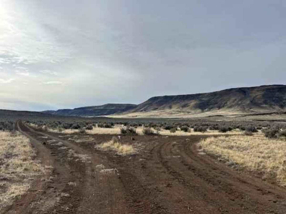 Jackrabbit Run trail photo