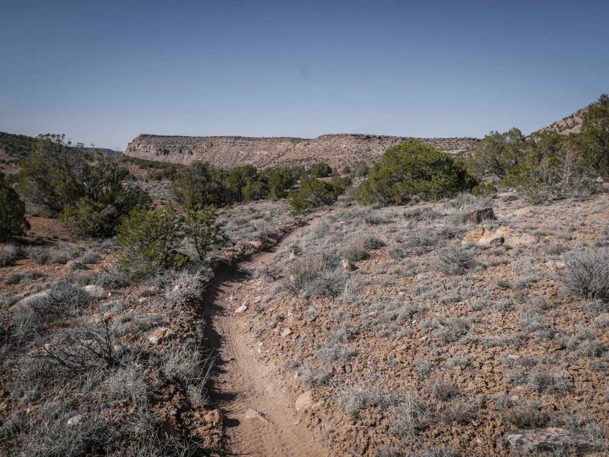 Coyote Cutoff photo 6