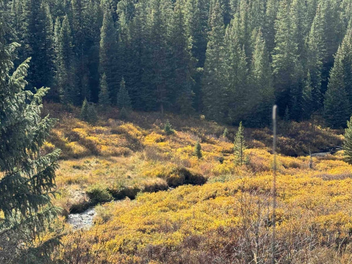 Keystone Gulch Trail photo 2