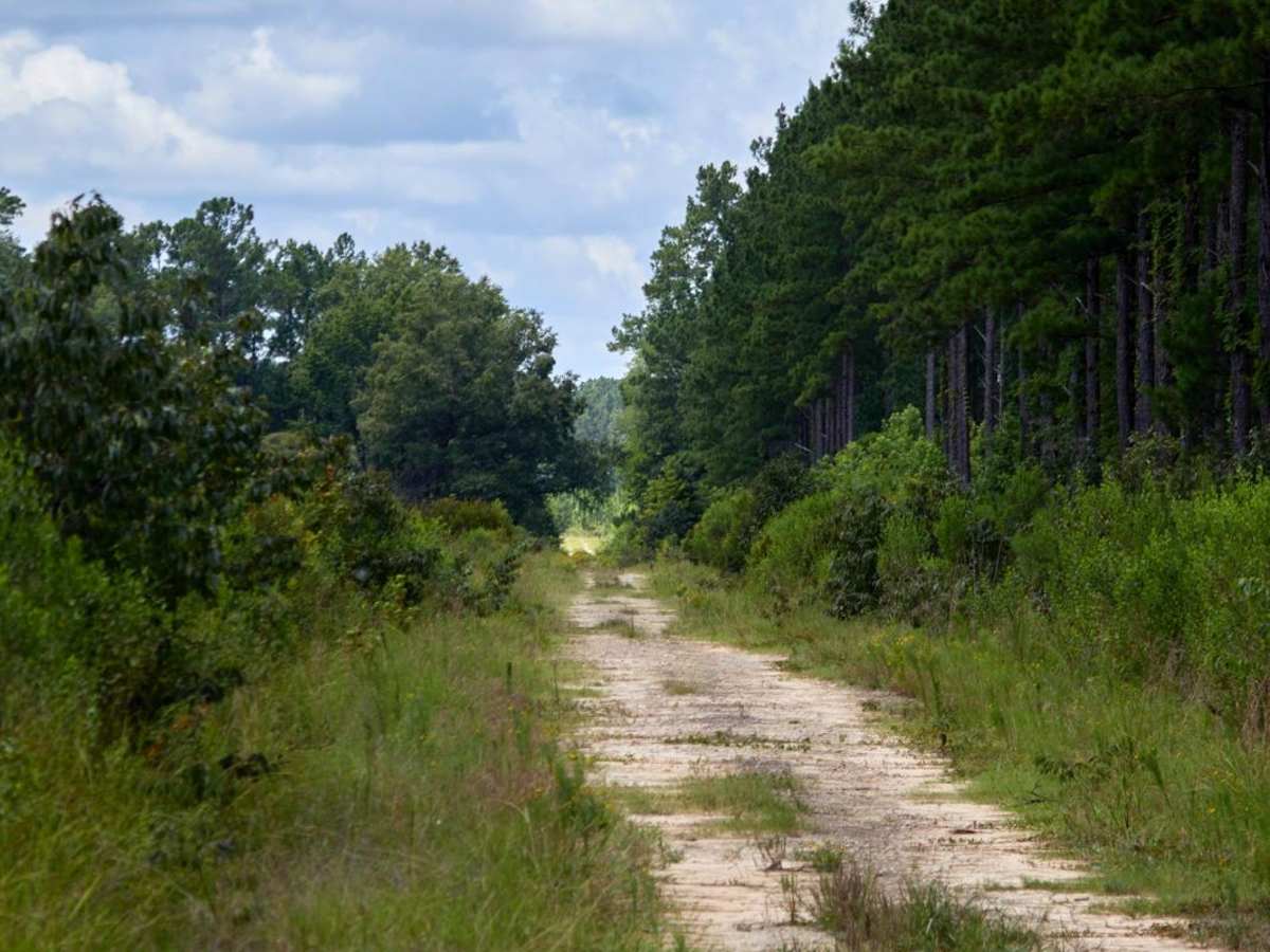 Arrowhead Road photo 3