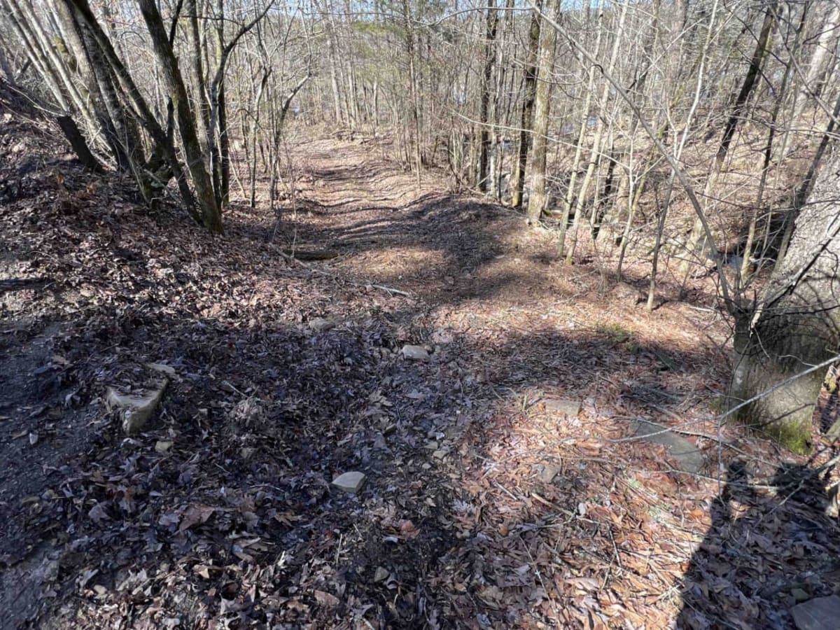 Hollis Trail 174 photo 6