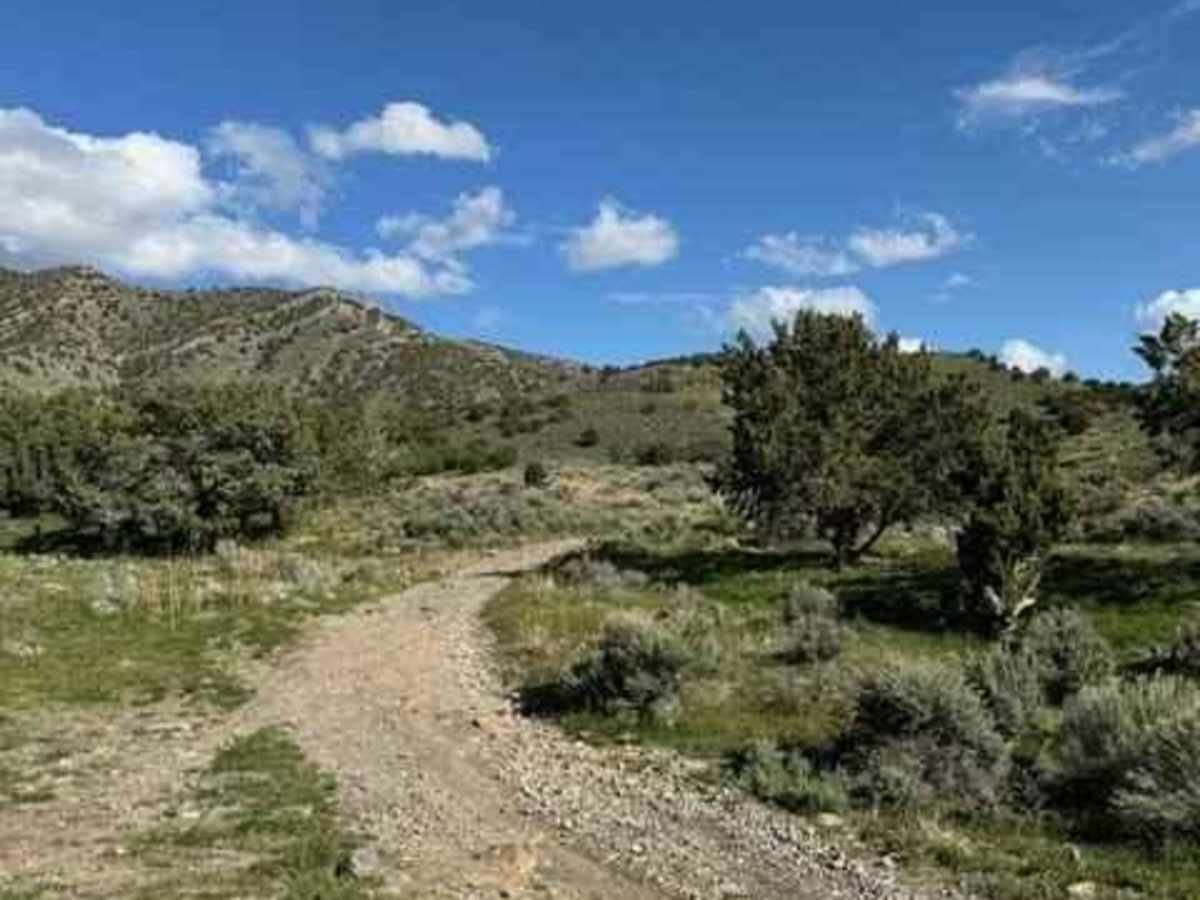 Lake Mountain Trail photo 6