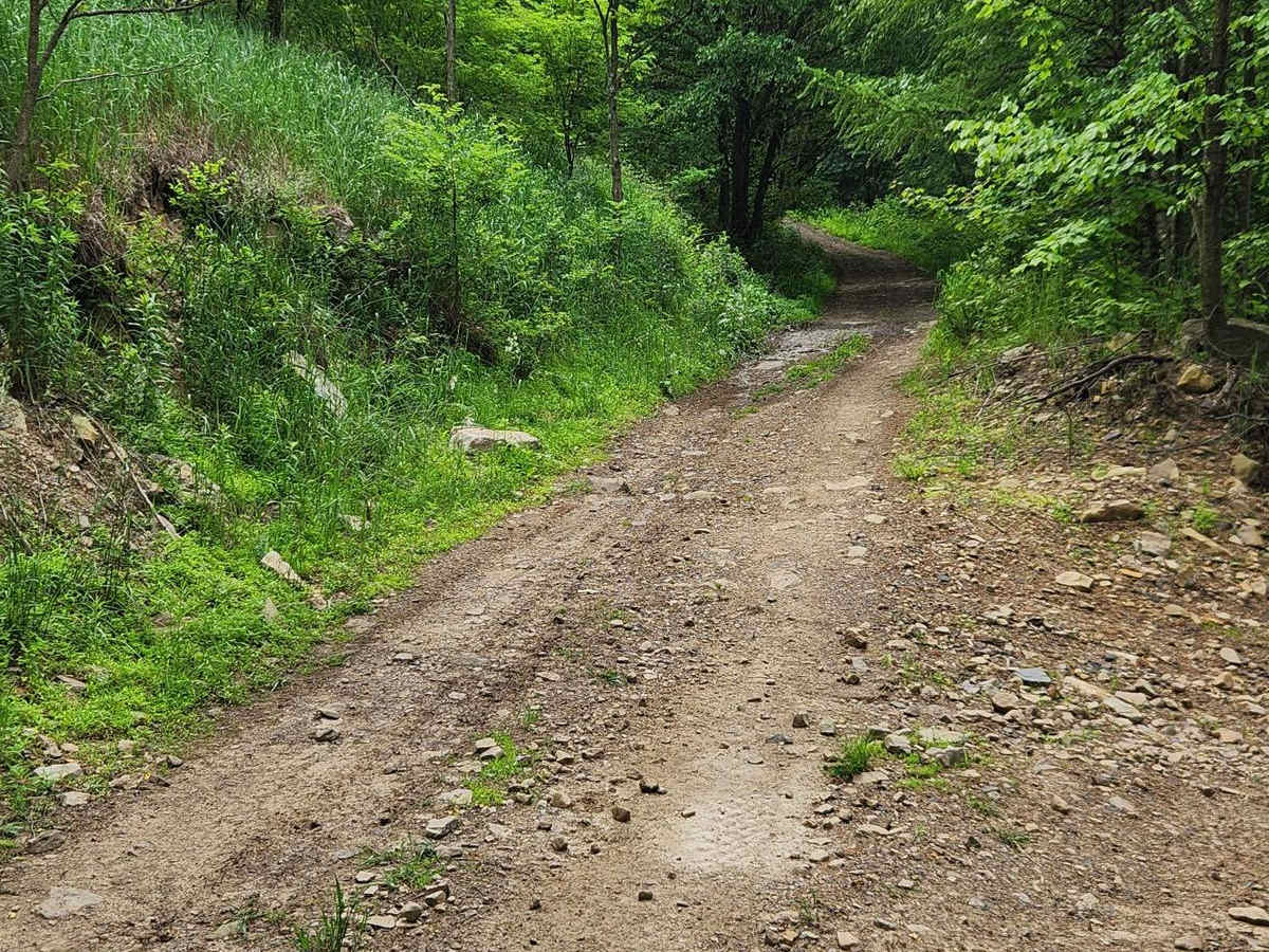 Trail 4H - Rock Run Recreation Area photo 3