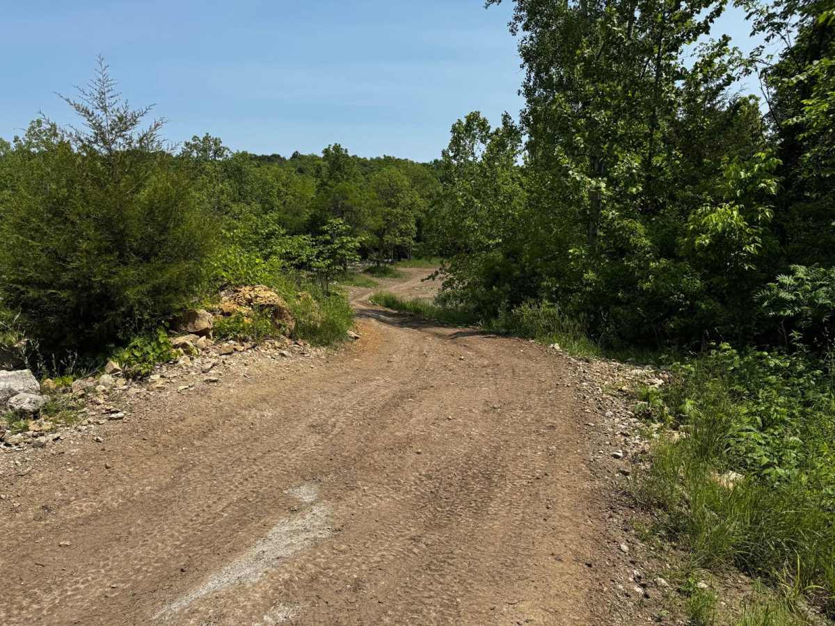 Green 3 trail photo