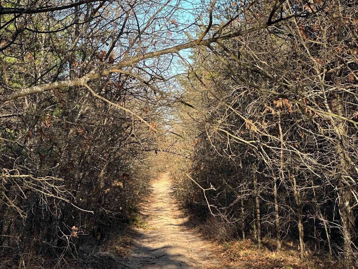 Fawn Road trail photo