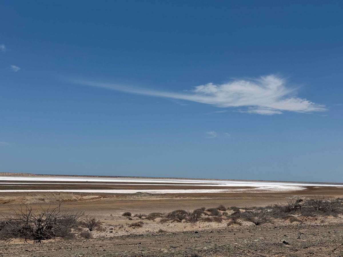 Salt Flats Datil photo 6