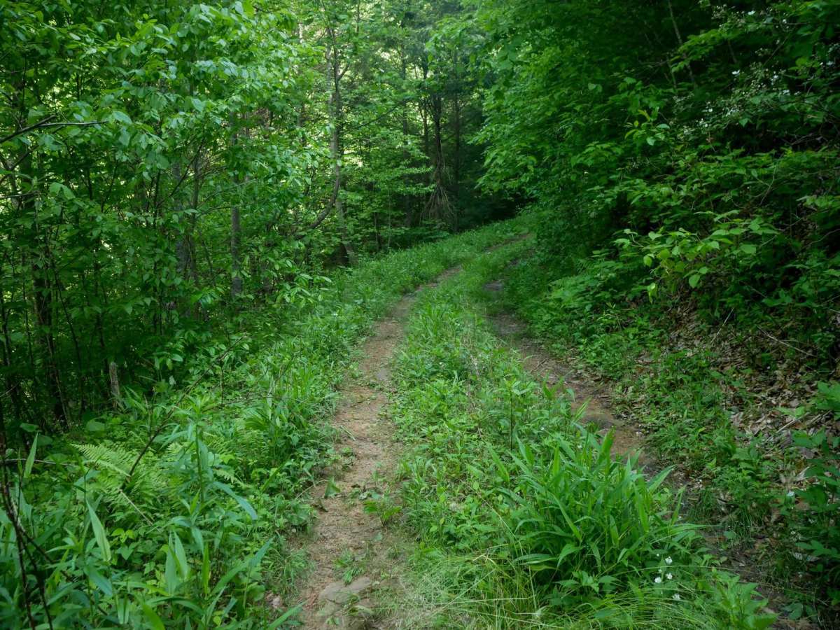 RV47 photo 5