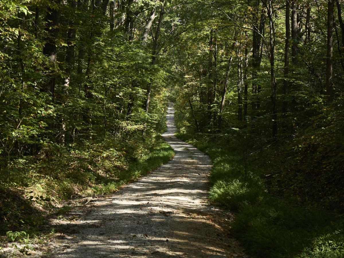 Ugly Creek - Mammoth Cave NP photo 2