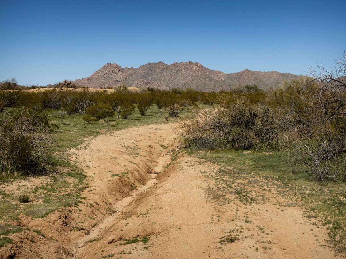 Lower Loop Trail photo 3
