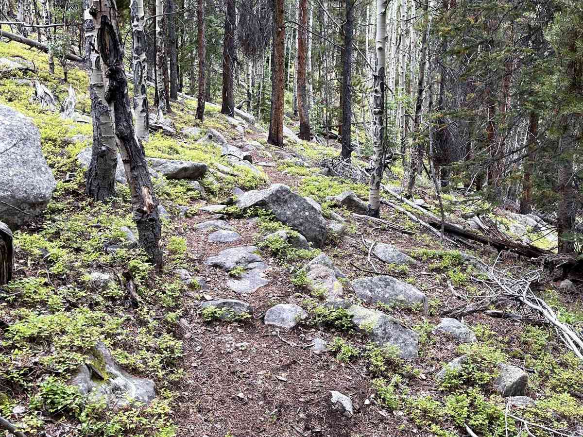Willow Mine Trail photo 5