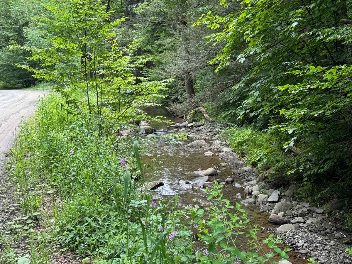 Carcass Brook Road photo 3