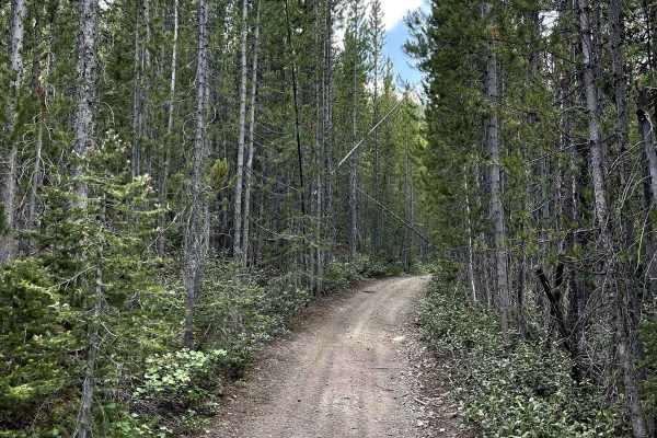 Rainbow Creek ATV