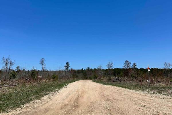 Cadillac Area ORV/OHV Scenic Ride - Part 18
