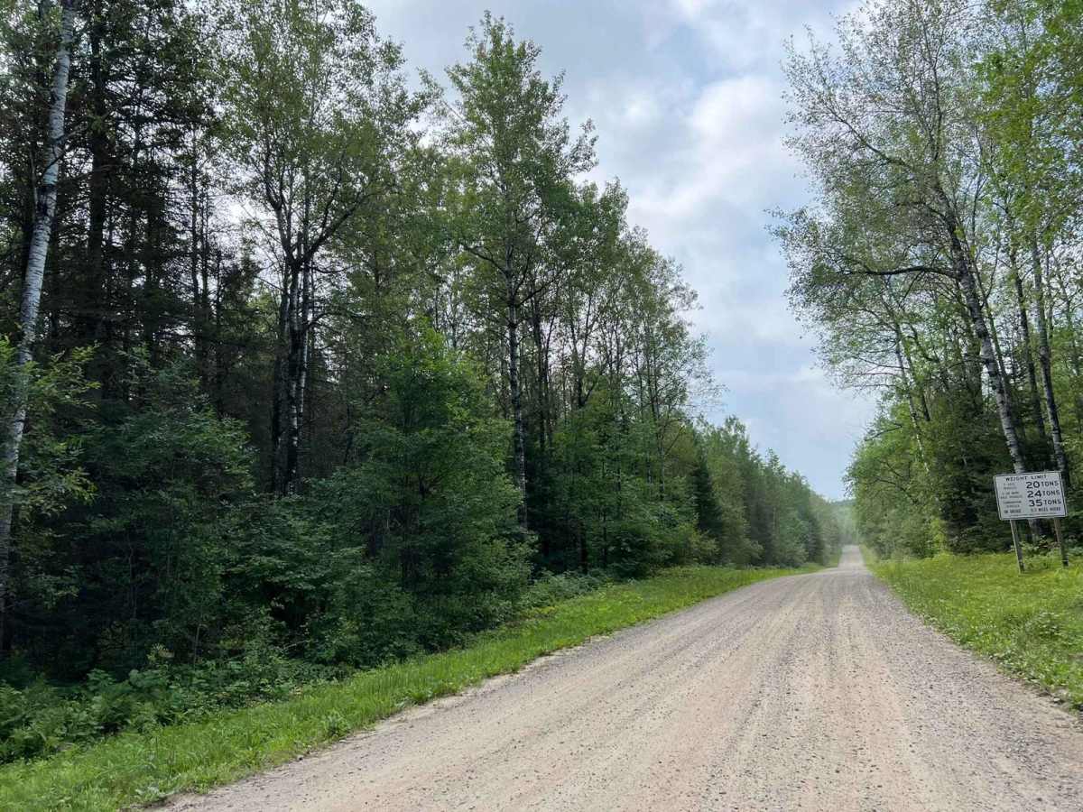 Michigan Creek Road - FS 2134 photo 4