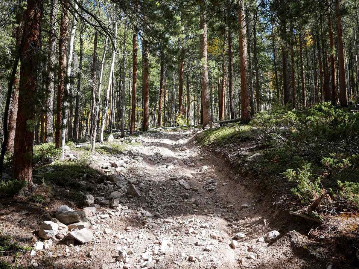 Left Hand ATV Trail photo 4