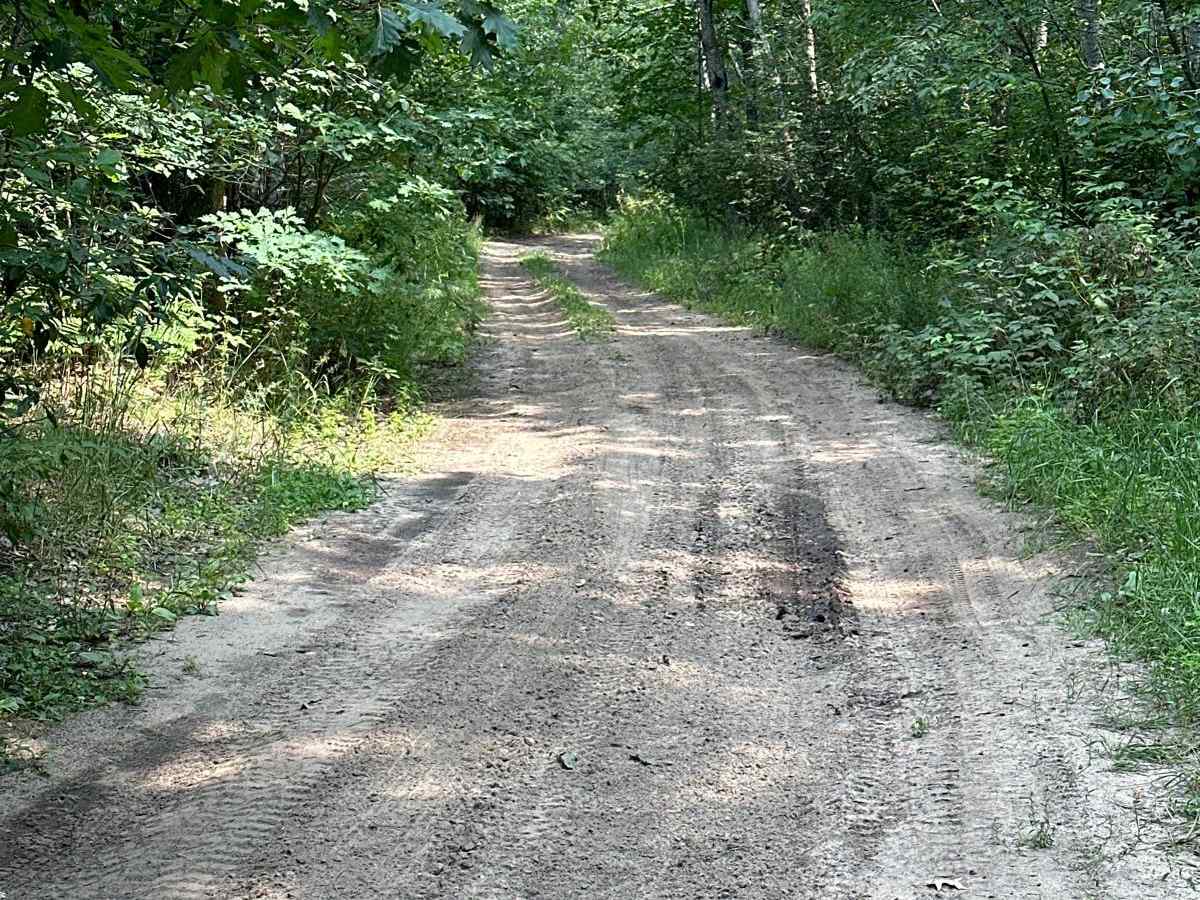 Lamb Road/Trail 39 trail photo