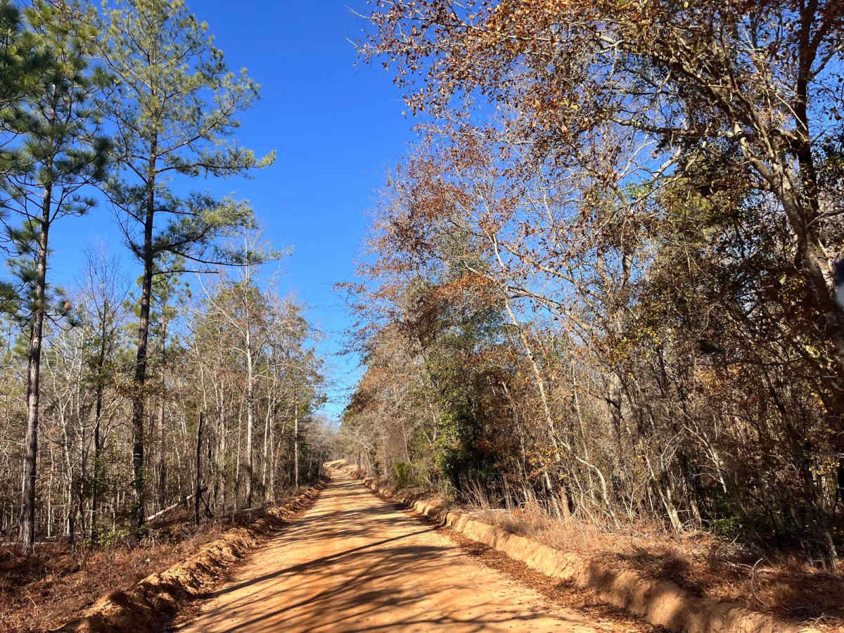 Gunter Pond Road photo 5