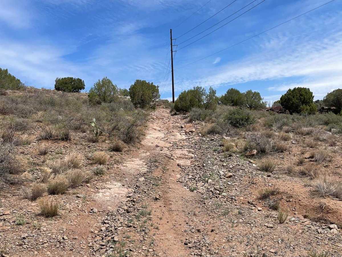 FS 136 & 9603J Loop trail photo