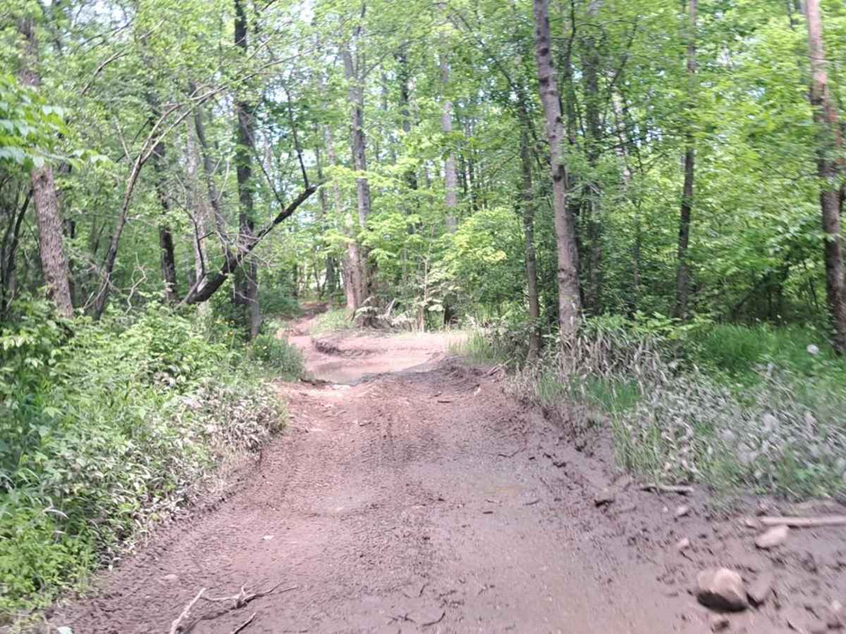 Bear Path 2 trail photo