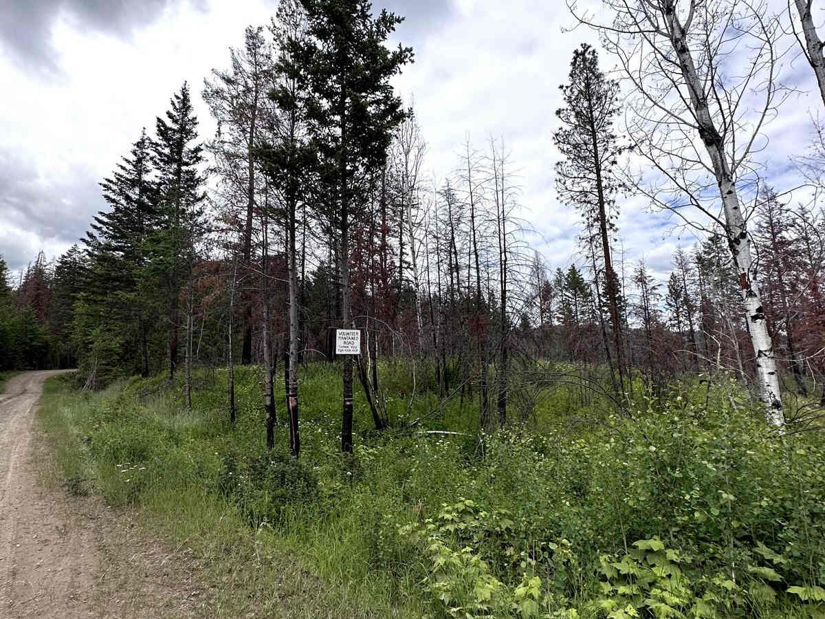 Banks Road photo 5