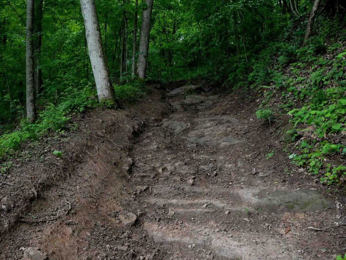 T53 trail photo