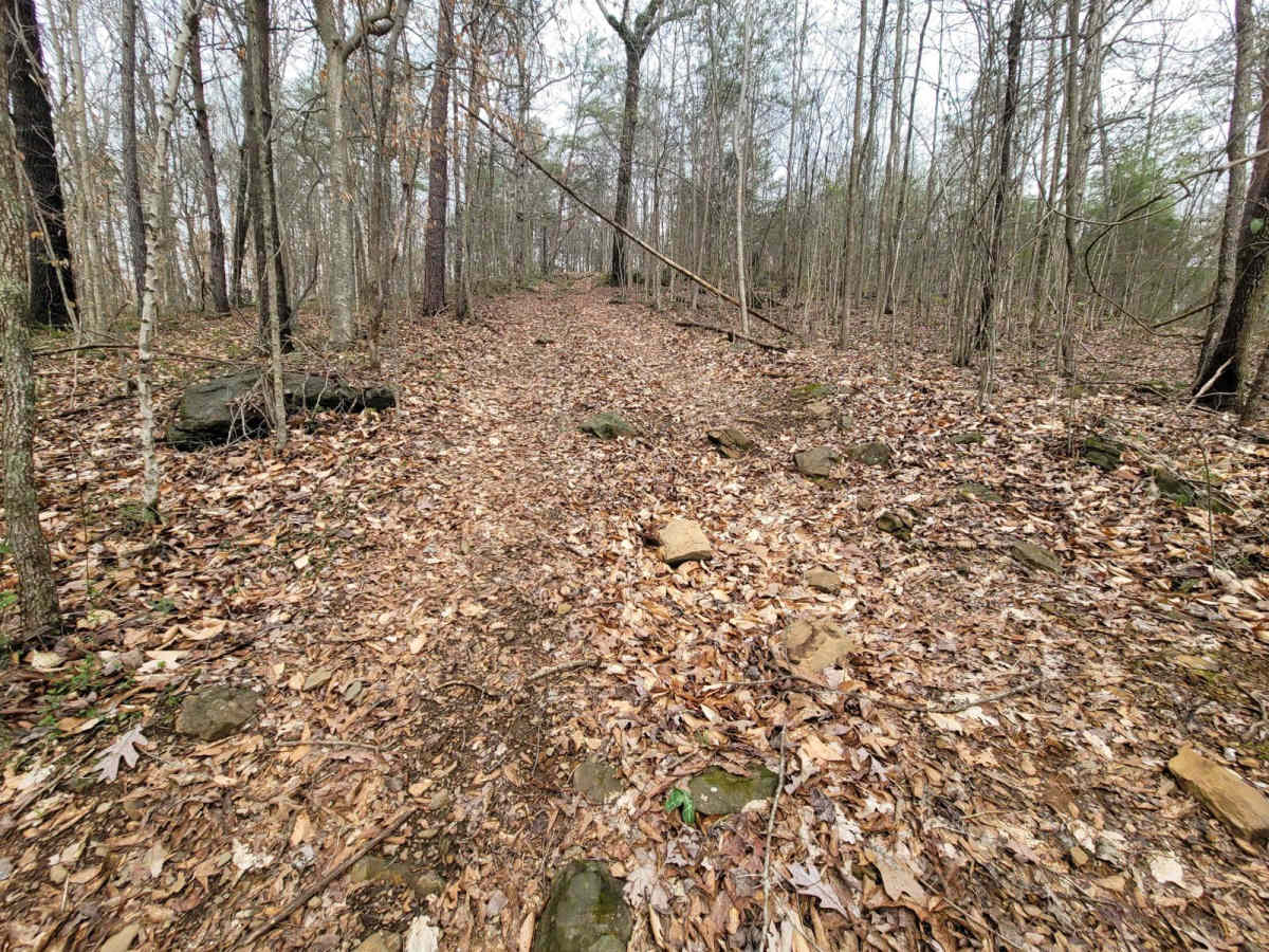 Hornets Nest Bypass photo 2