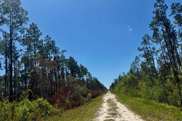 Rake Creek Road