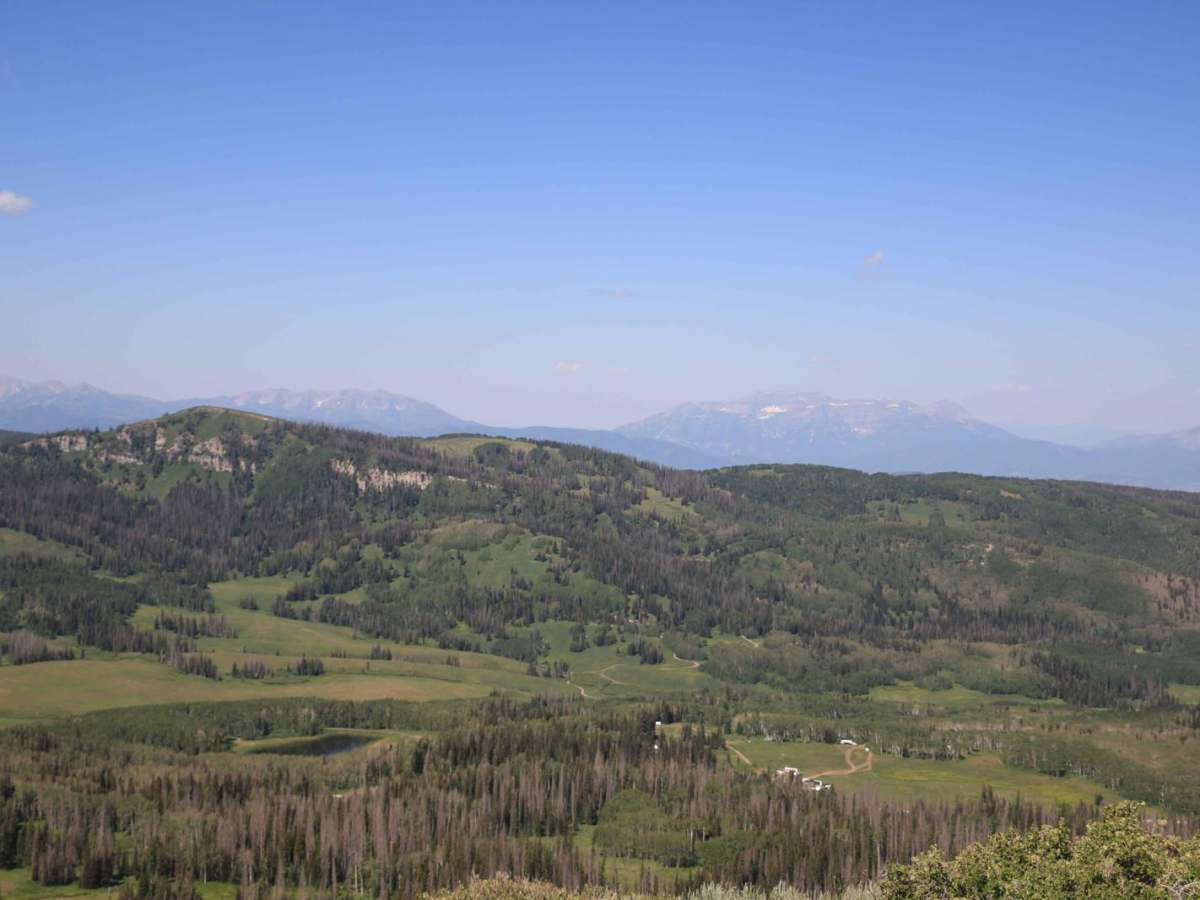 Heber Mountain Spur 1 - FS 70055 photo 5
