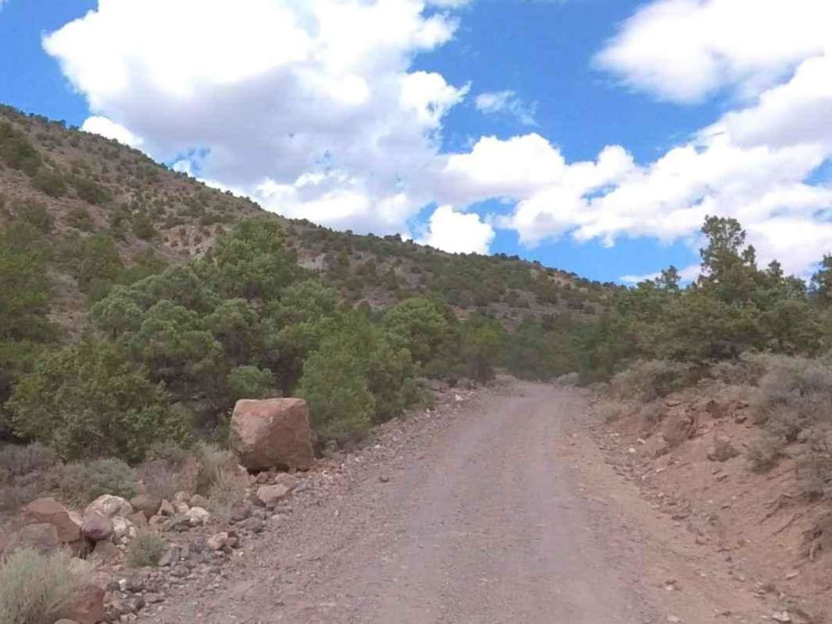 Albinus Canyon- Elsinore Mountain Road- FS 40105 photo 5