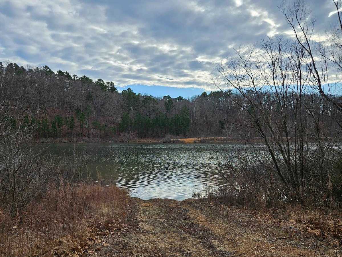 Stringtown Branch - FSR 2550 trail photo