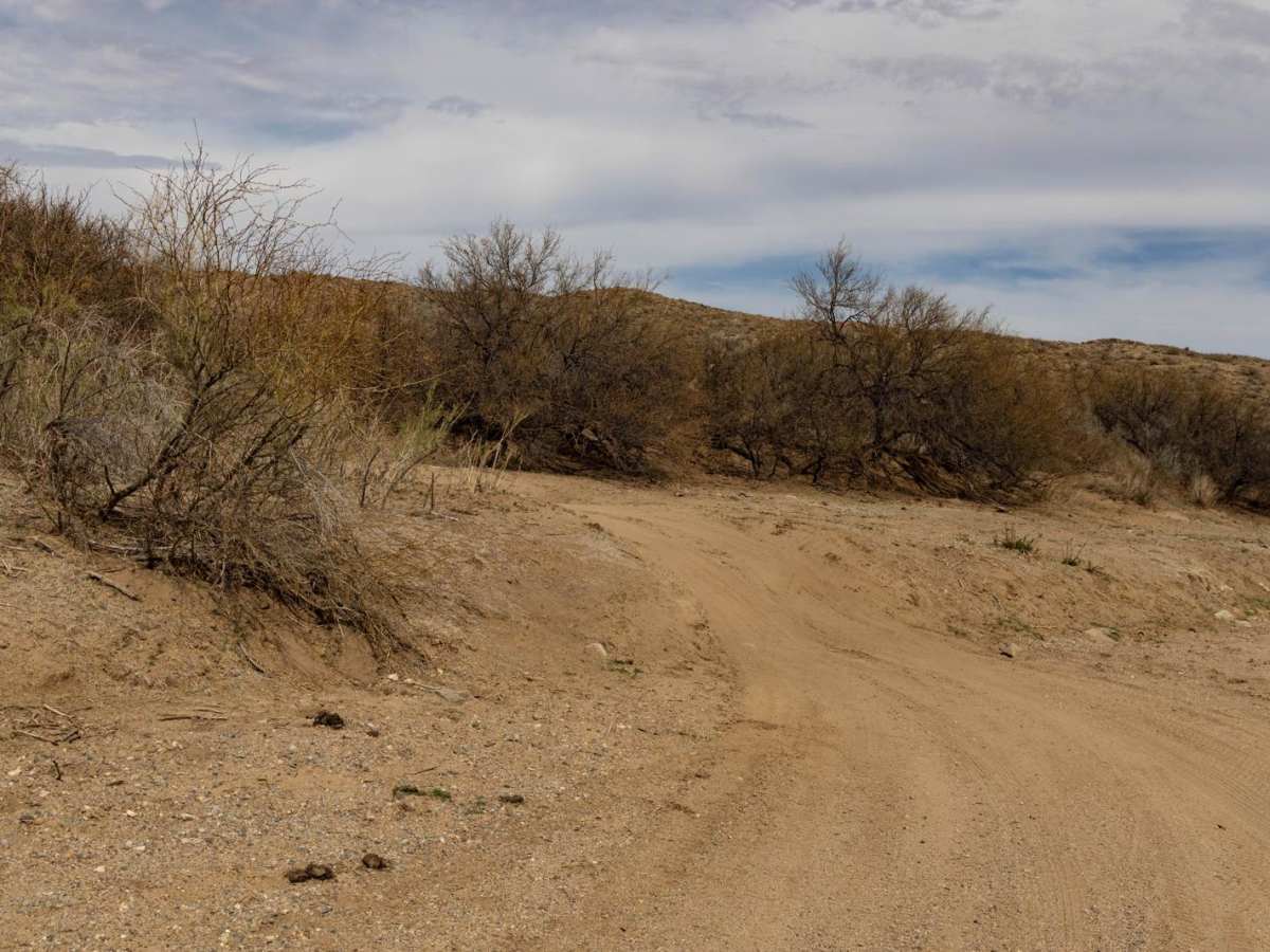 Blue Bell Mine Road photo 5