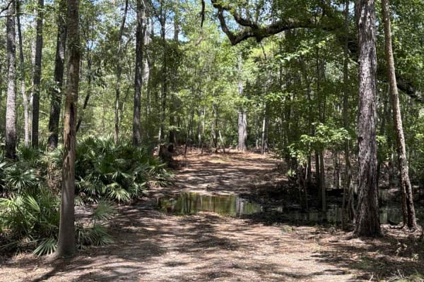 Little Shoals Trail