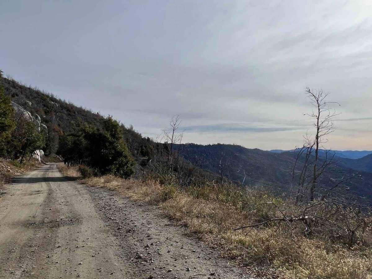 Trumbull Peak photo 3