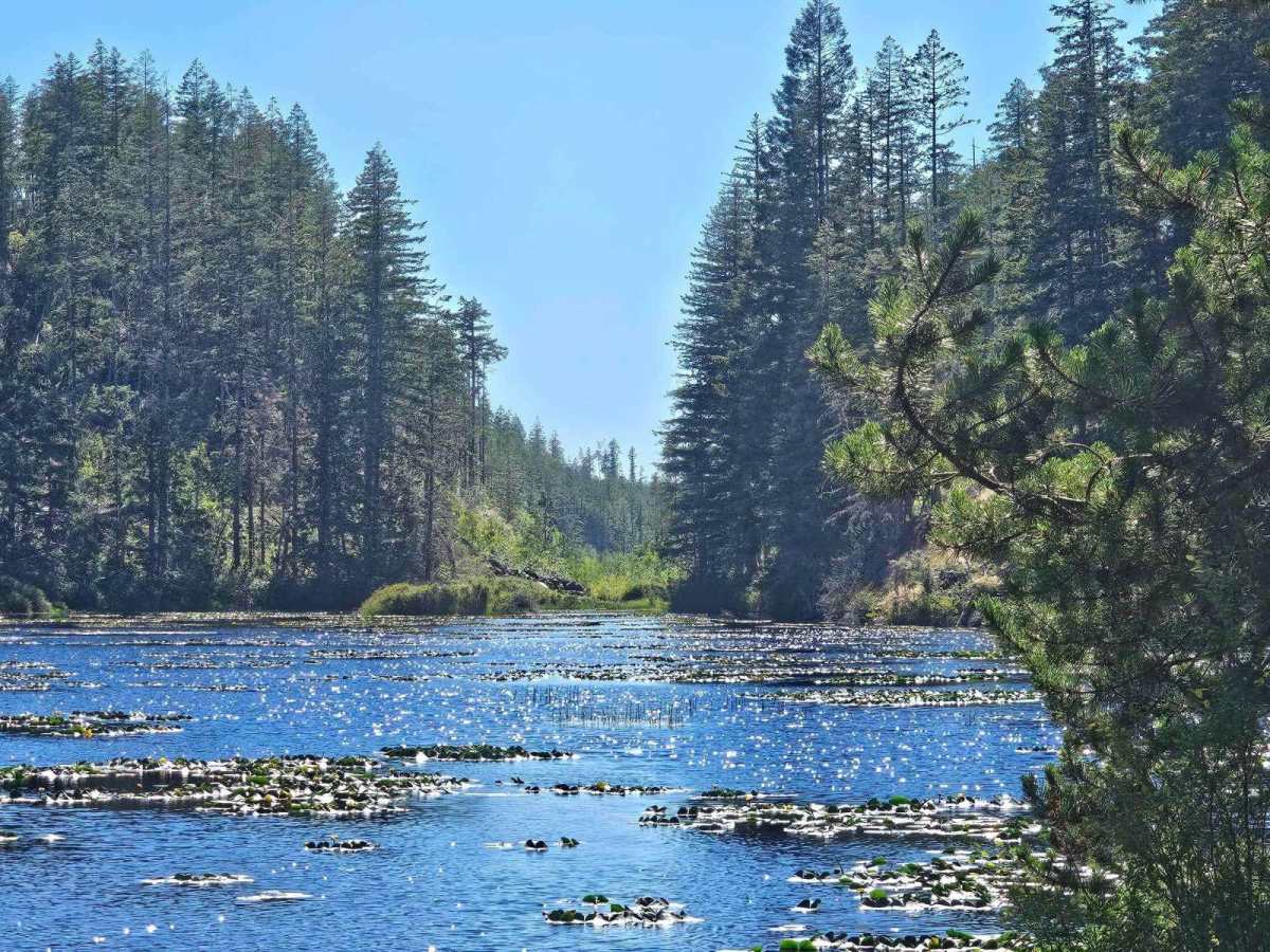 Granite Dunes trail photo