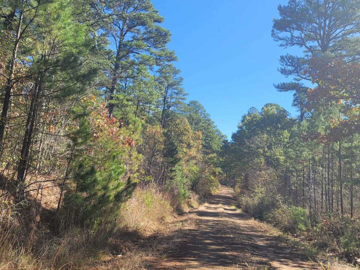 Poteau Mountain And Rail Tracks photo 6